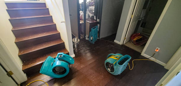 Best Mold removal after water damage  in Hanford, CA