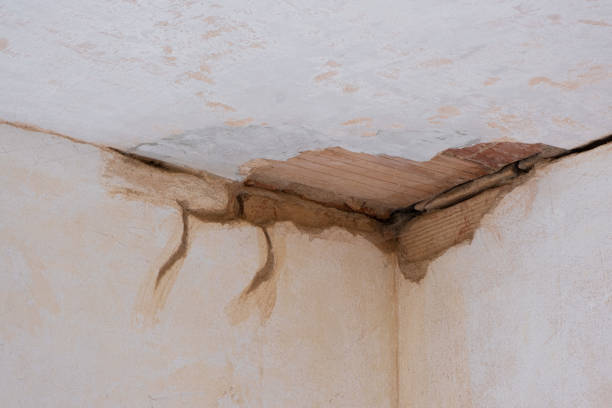 Best 24-hour water damage restoration  in Hanford, CA