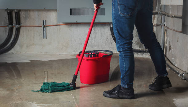 Best Professional water damage repair  in Hanford, CA