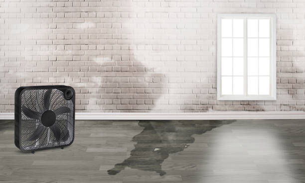 Best Basement water damage restoration  in Hanford, CA