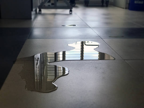 Best Water damage restoration near me  in Hanford, CA